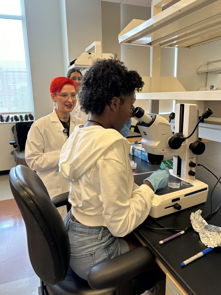 Student looks through a microscope