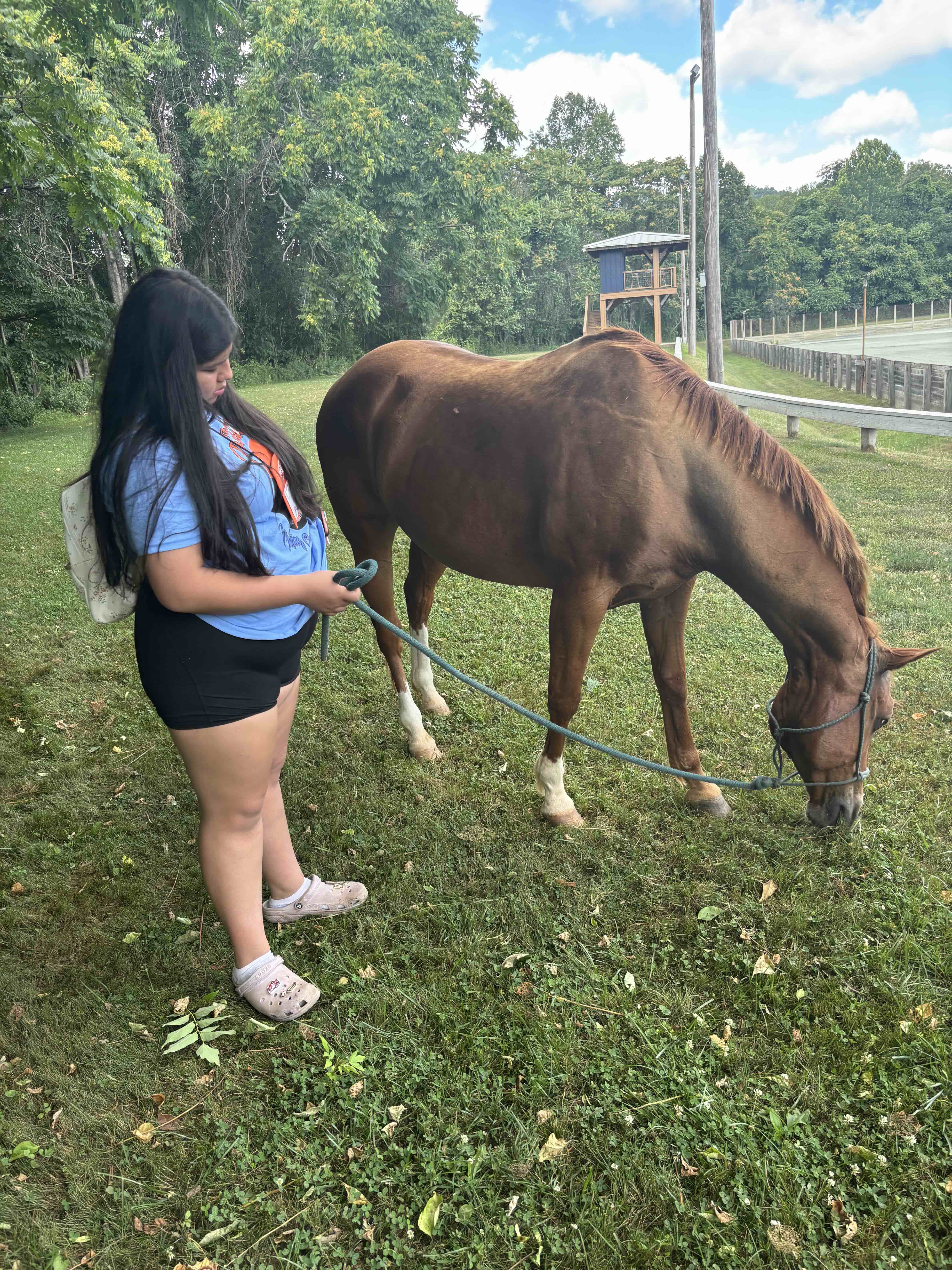 student standing next to a horse eating grass