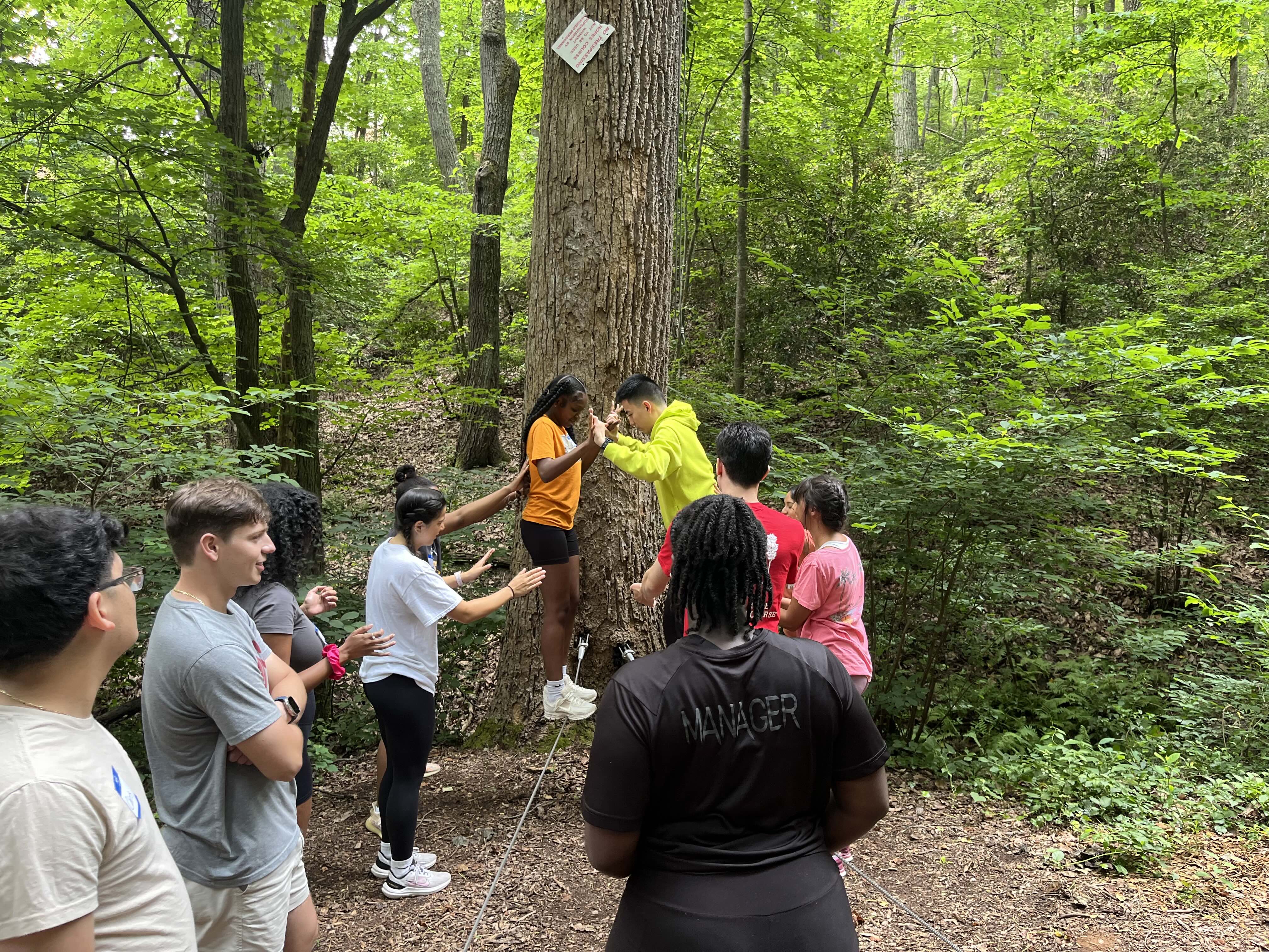 counselors participate in a trust exercise 