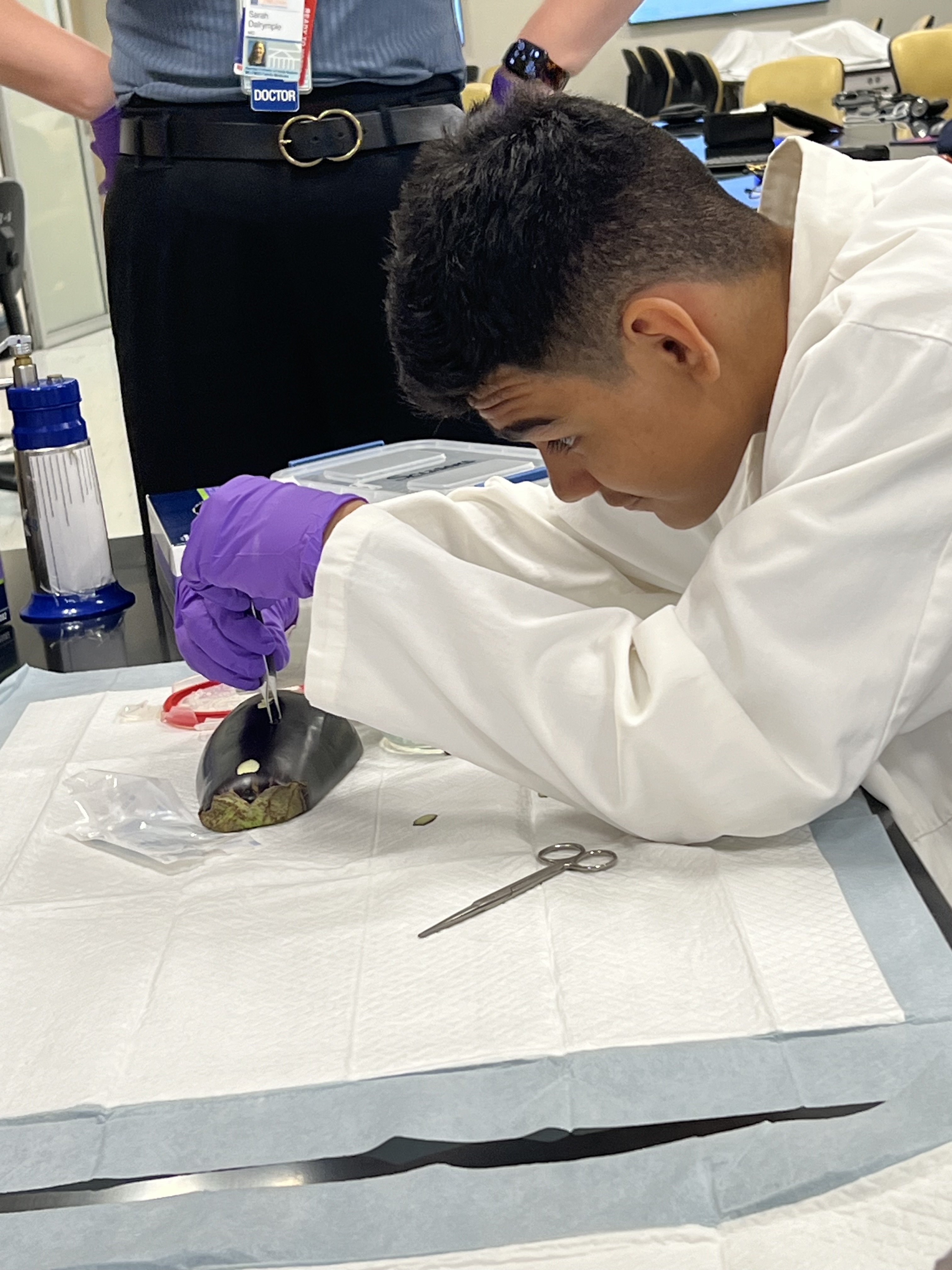 Student dissects an eggplant