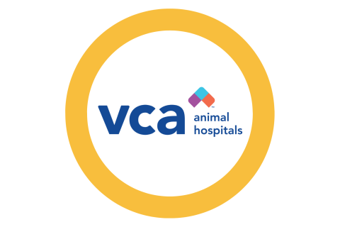 VCA Logo