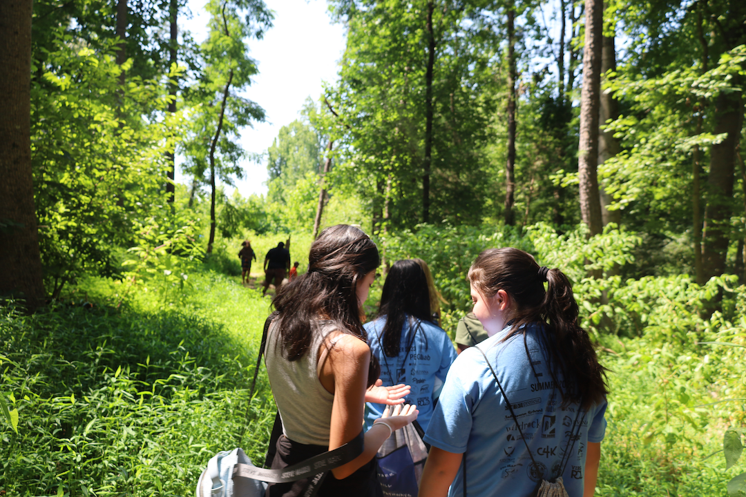 Students walking through the woods on a sunny day.